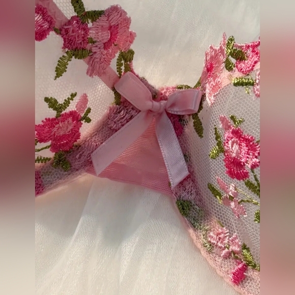Butterly Pink Floral Embroidered Lingerie Set Sheer Coquette Summer (#1,406) - Picture 3 of 5